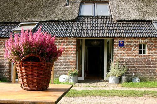Bed And Breakfast Annen Екстер'єр фото